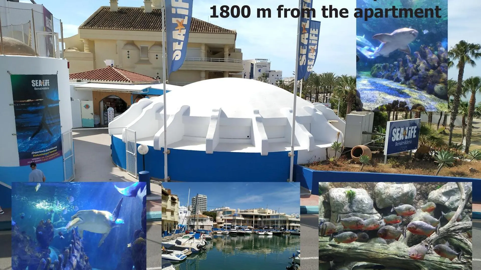 Apartment Carihuela Luxus Holiday Torremolinos Spain